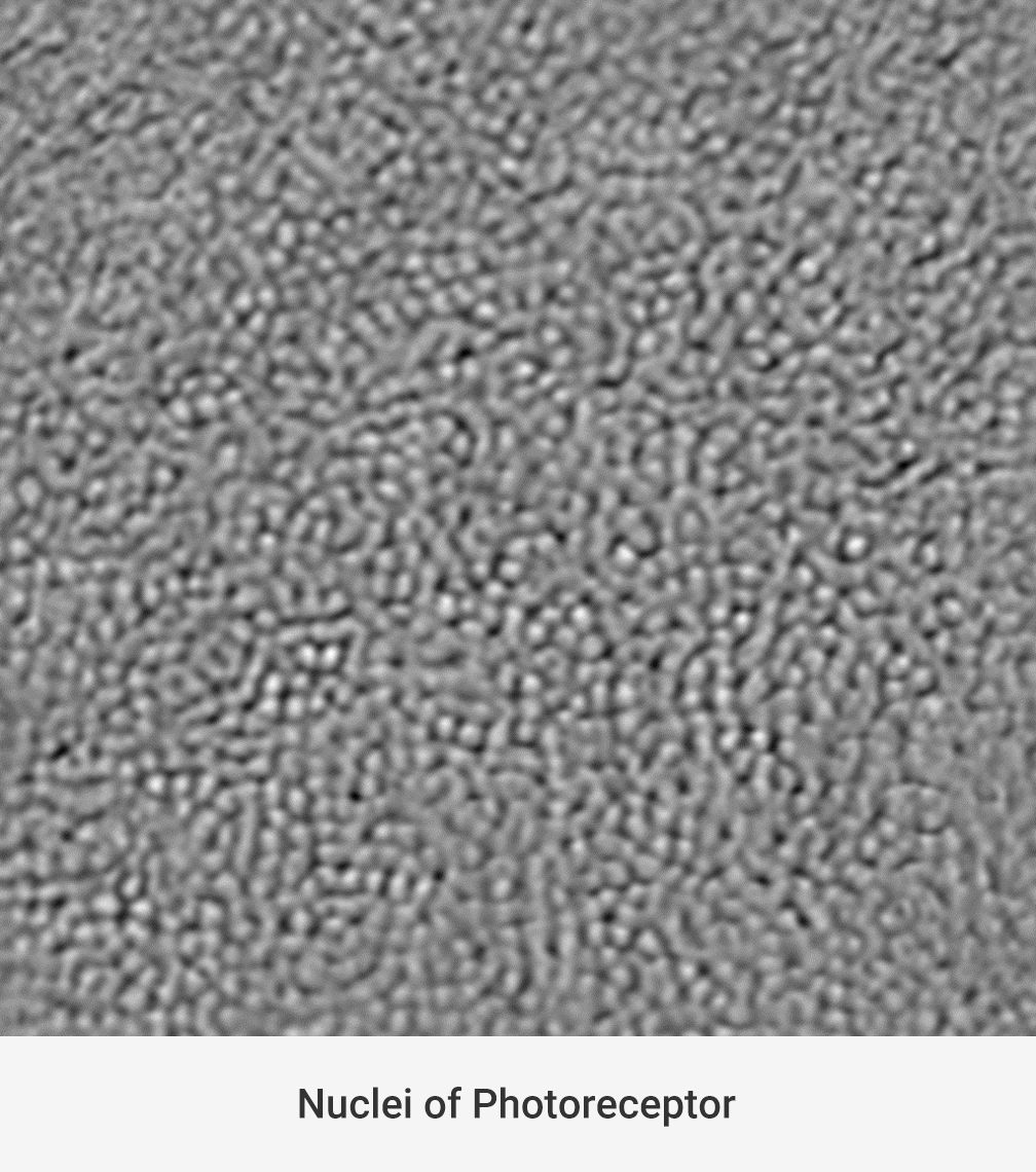 Charis-feature-2-2.jpg