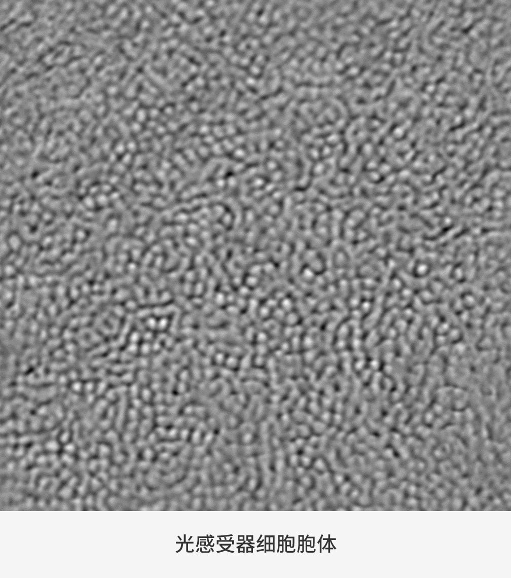 Charis-feature-2-2-CN.jpg