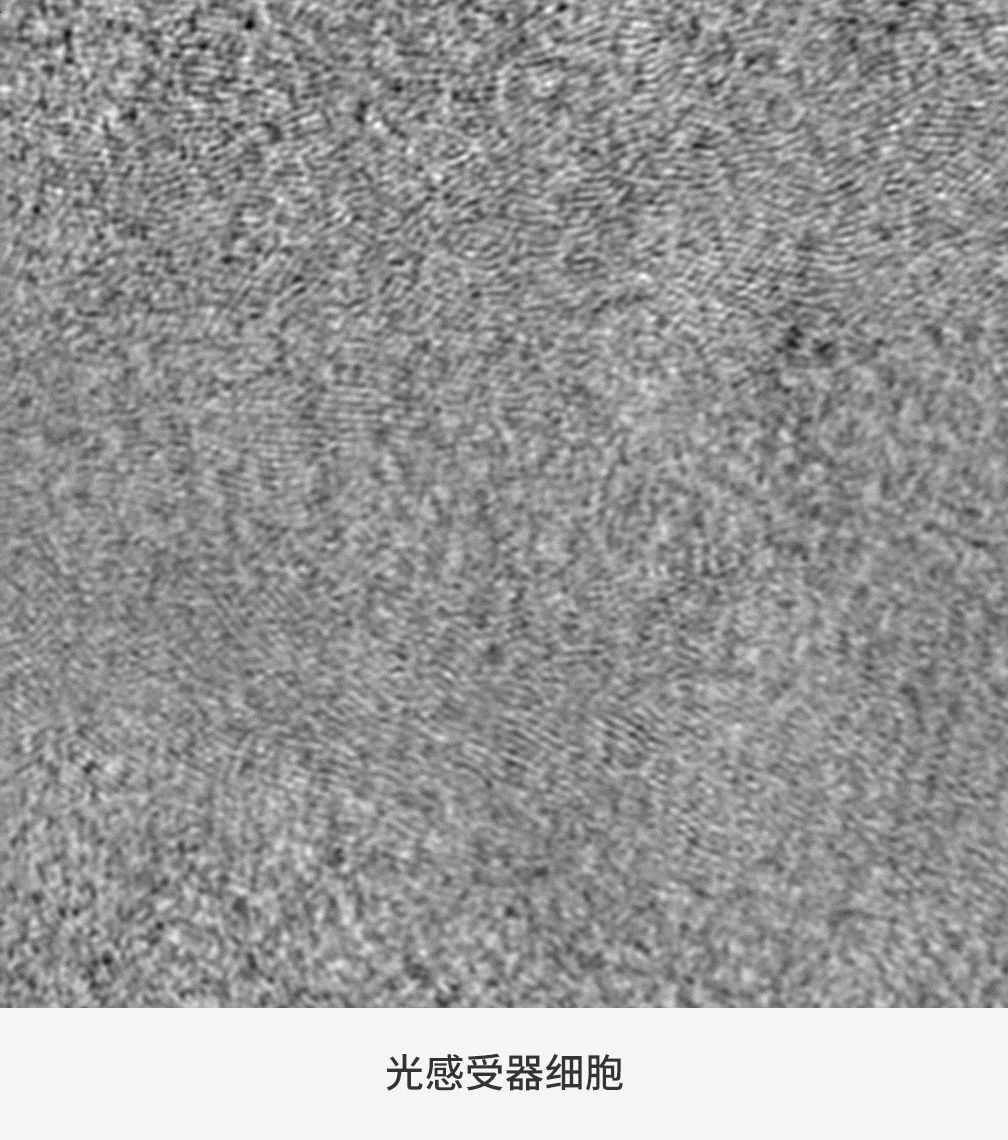 Charis-feature-2-3-CN.jpg
