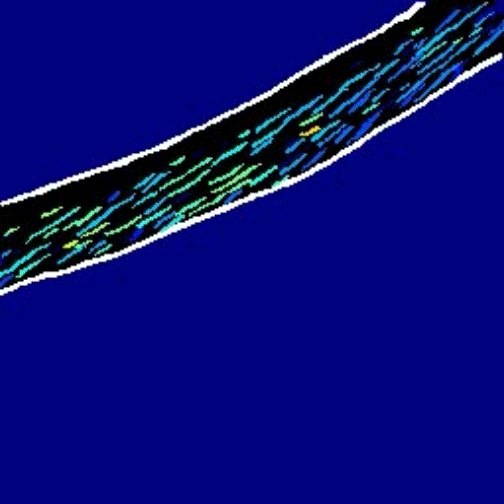 Charis-feature-6-3.gif