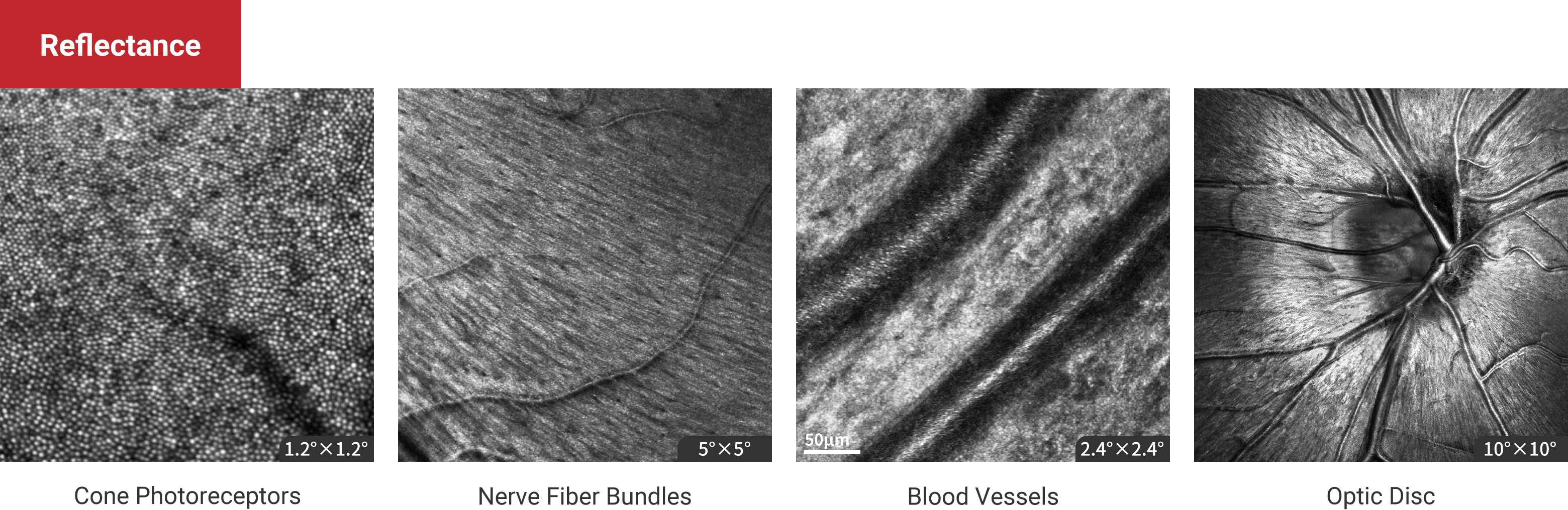 Reflectance